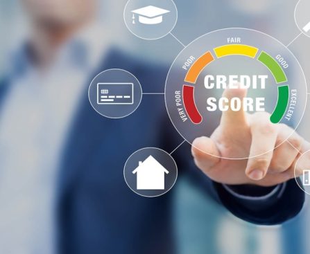Understanding the Basics of Your Credit Score